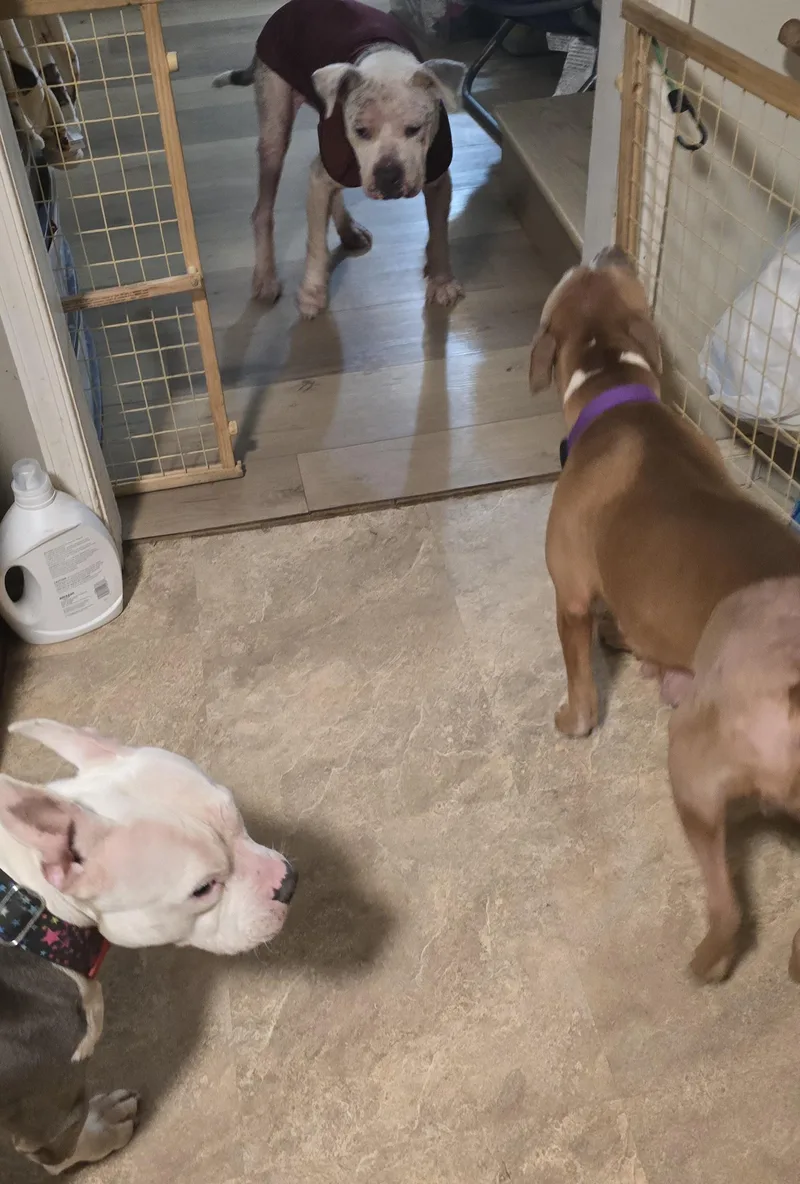 Caroline thumbnail 4