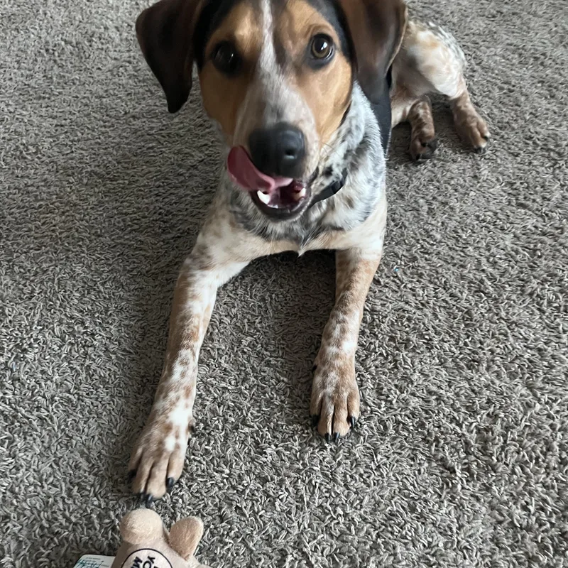 Jumpin Jack "flash" thumbnail 2