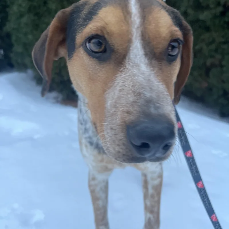 Jumpin Jack "flash" thumbnail 3