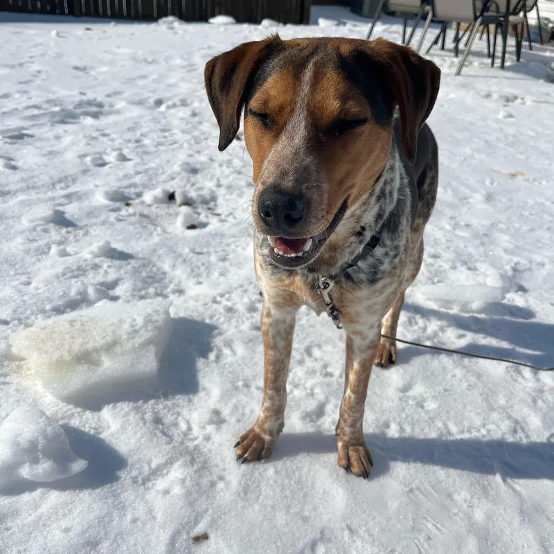 Jumpin Jack "flash" thumbnail 6