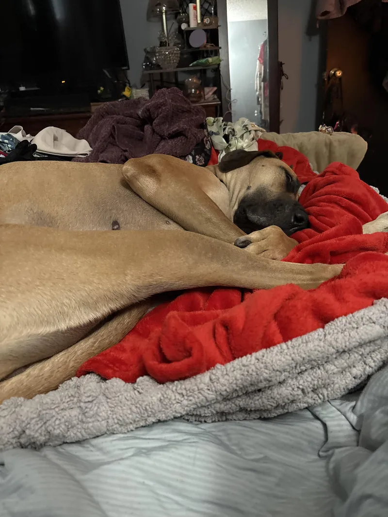 Sarah Aka Honey thumbnail 4