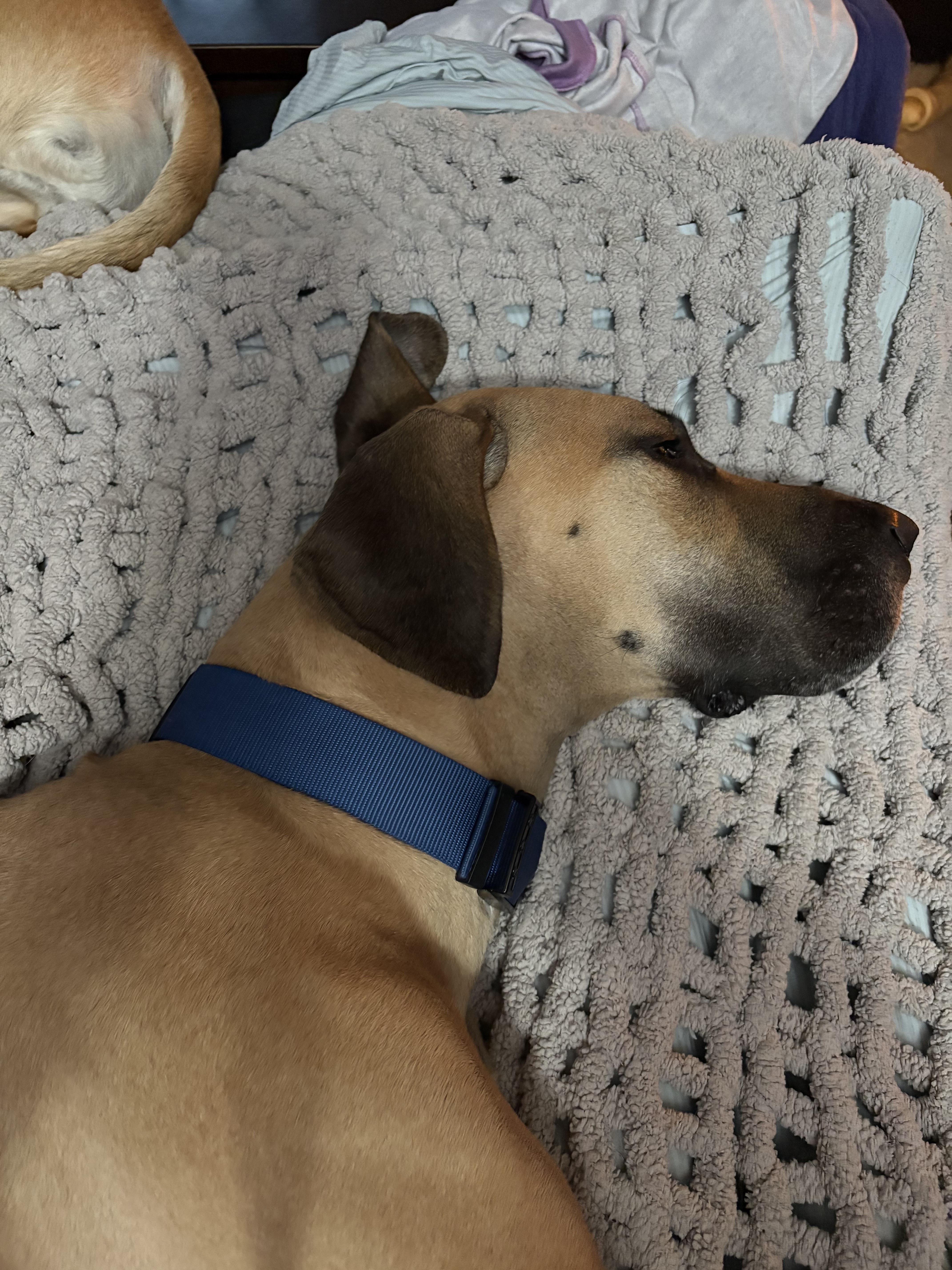 Sarah Aka Honey thumbnail 5