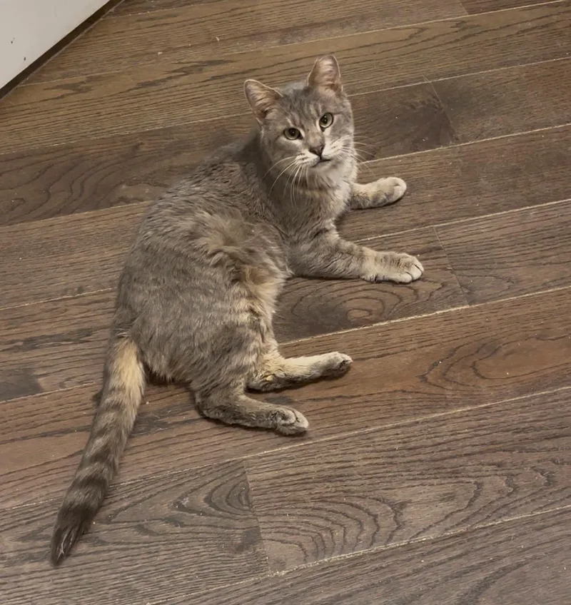 Cyndi Hoopes thumbnail 5