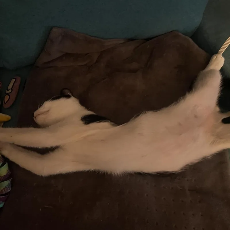 James Sulley thumbnail 2