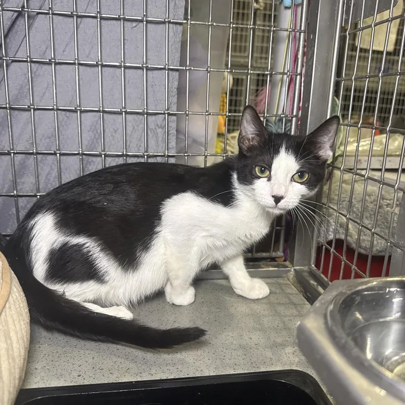 James Sulley thumbnail 3