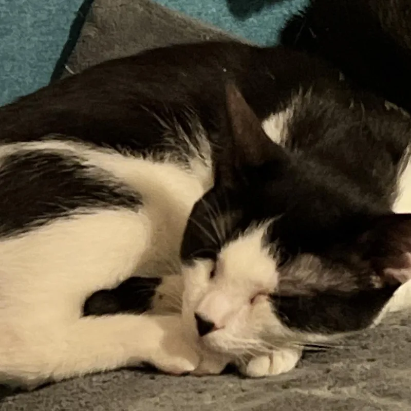 James Sulley thumbnail 4