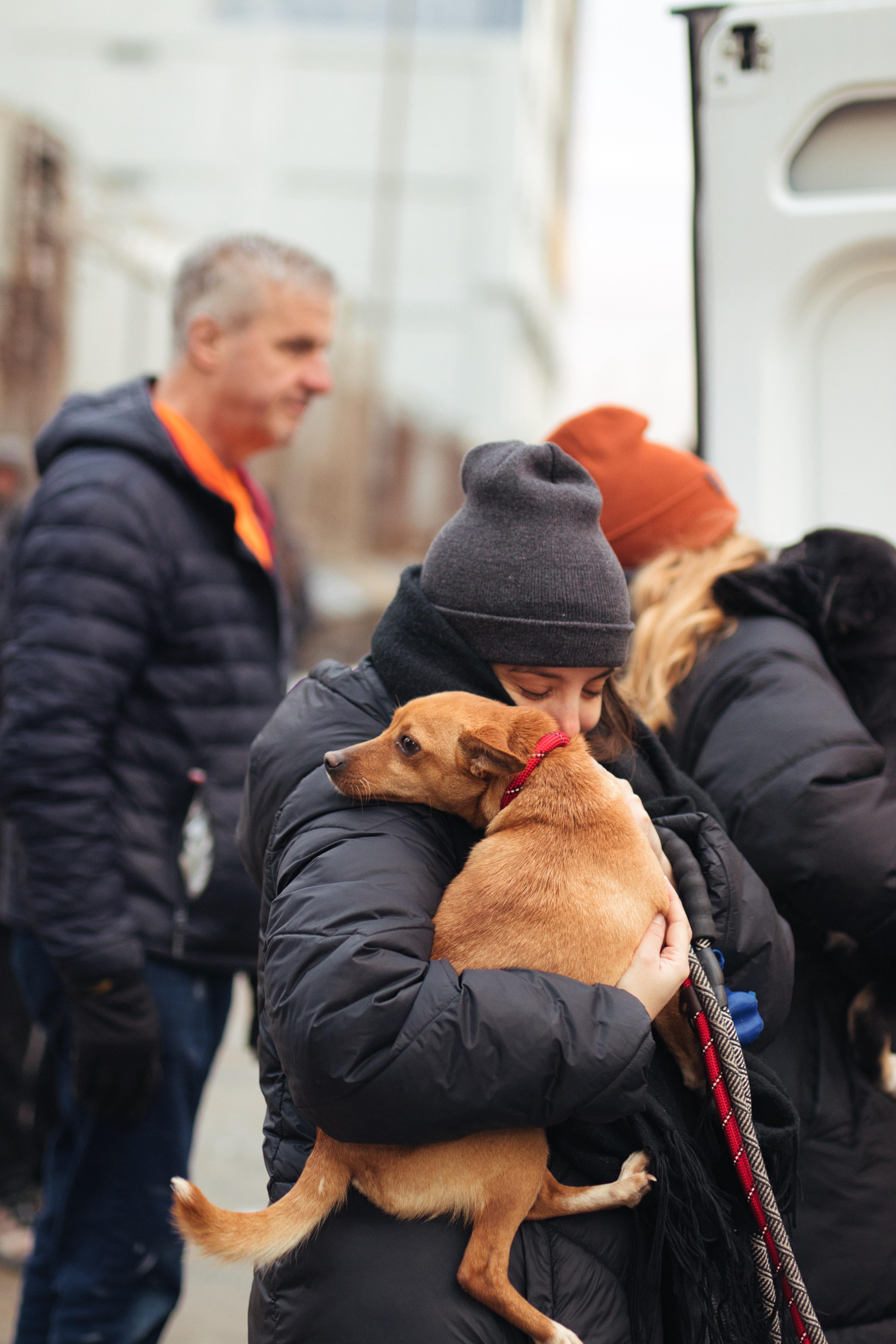 Strawberry thumbnail 4