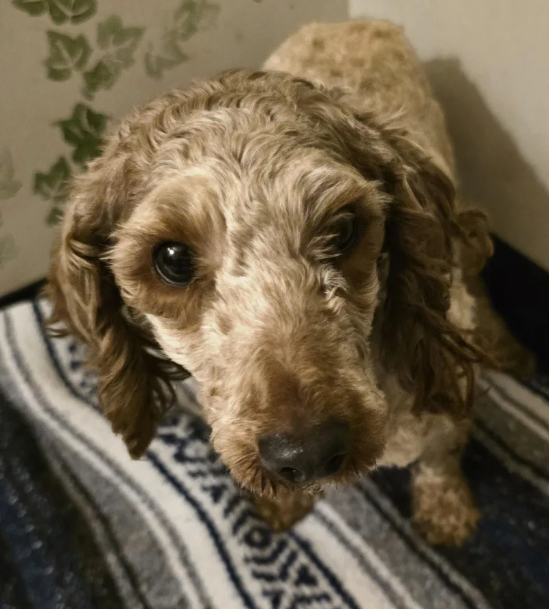 Smootchie Red Lips thumbnail 2