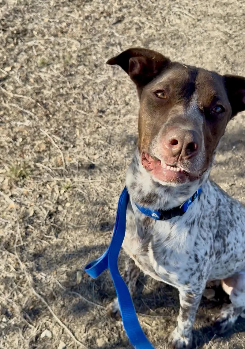 Knuckles thumbnail 3