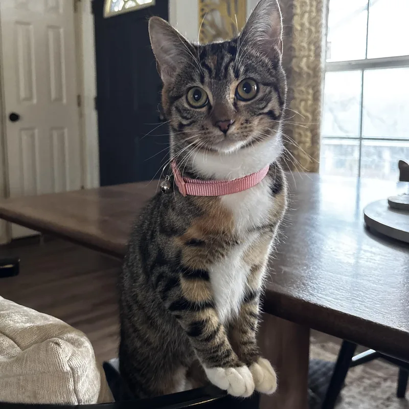 Tatianna thumbnail 2