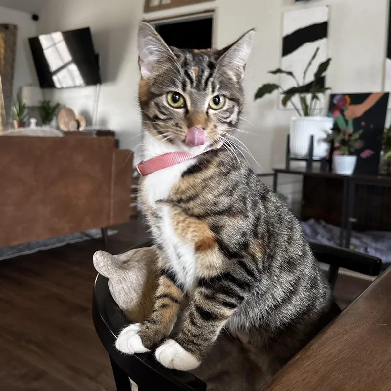 Tatianna thumbnail 3