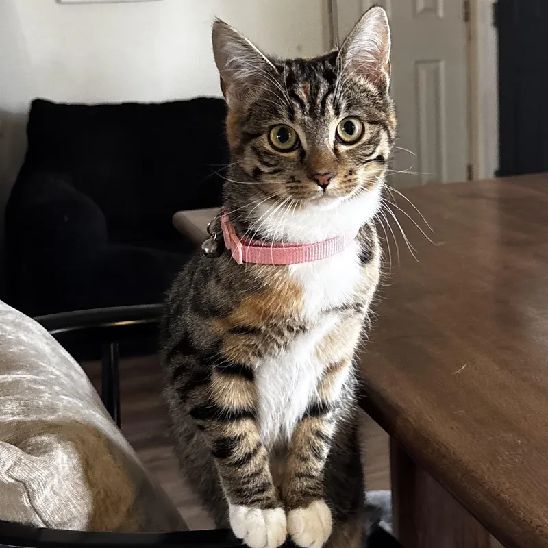 Tatianna thumbnail 4