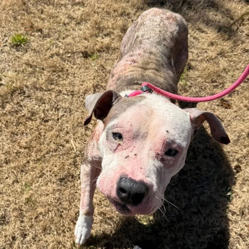 Charlotte thumbnail 2