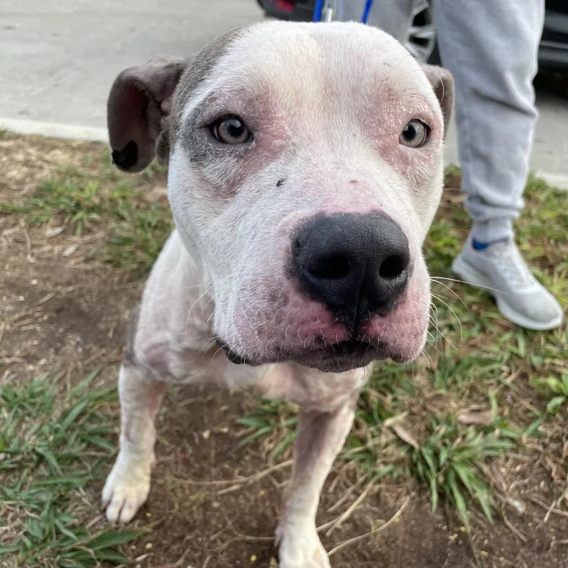 Charlotte thumbnail 3