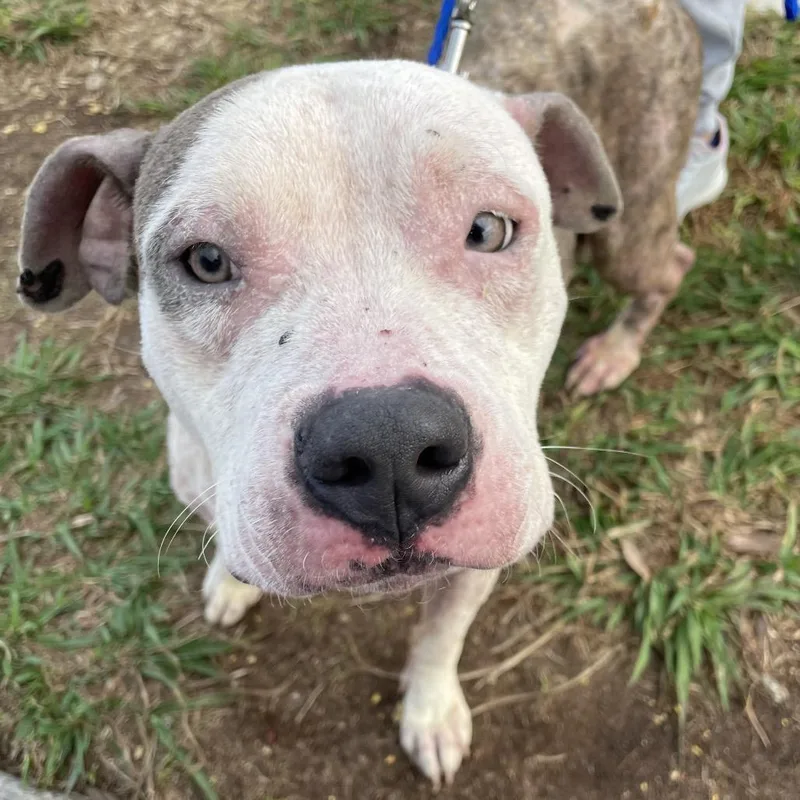 Charlotte thumbnail 4