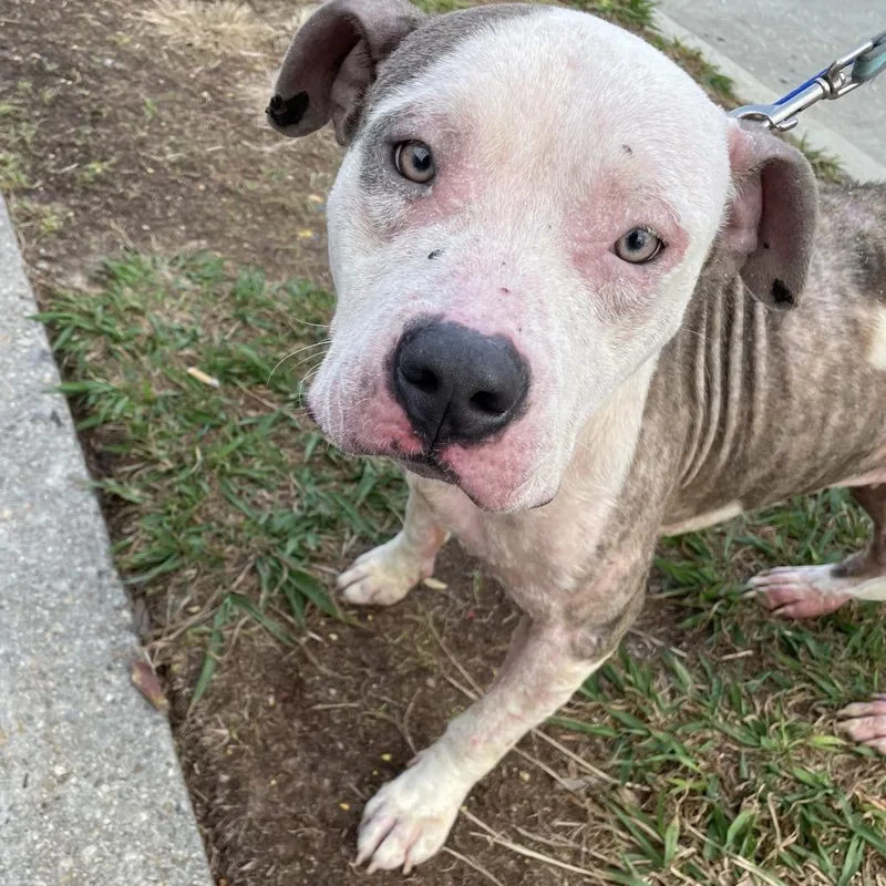 Charlotte thumbnail 5