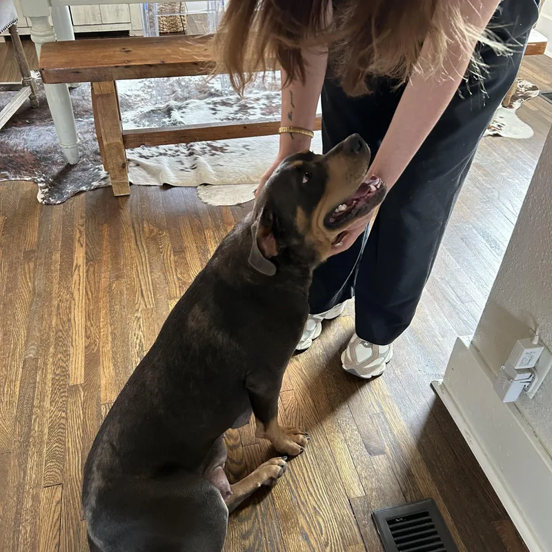 Betty Boop thumbnail 3