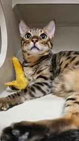 Starsky And Hutch thumbnail 2