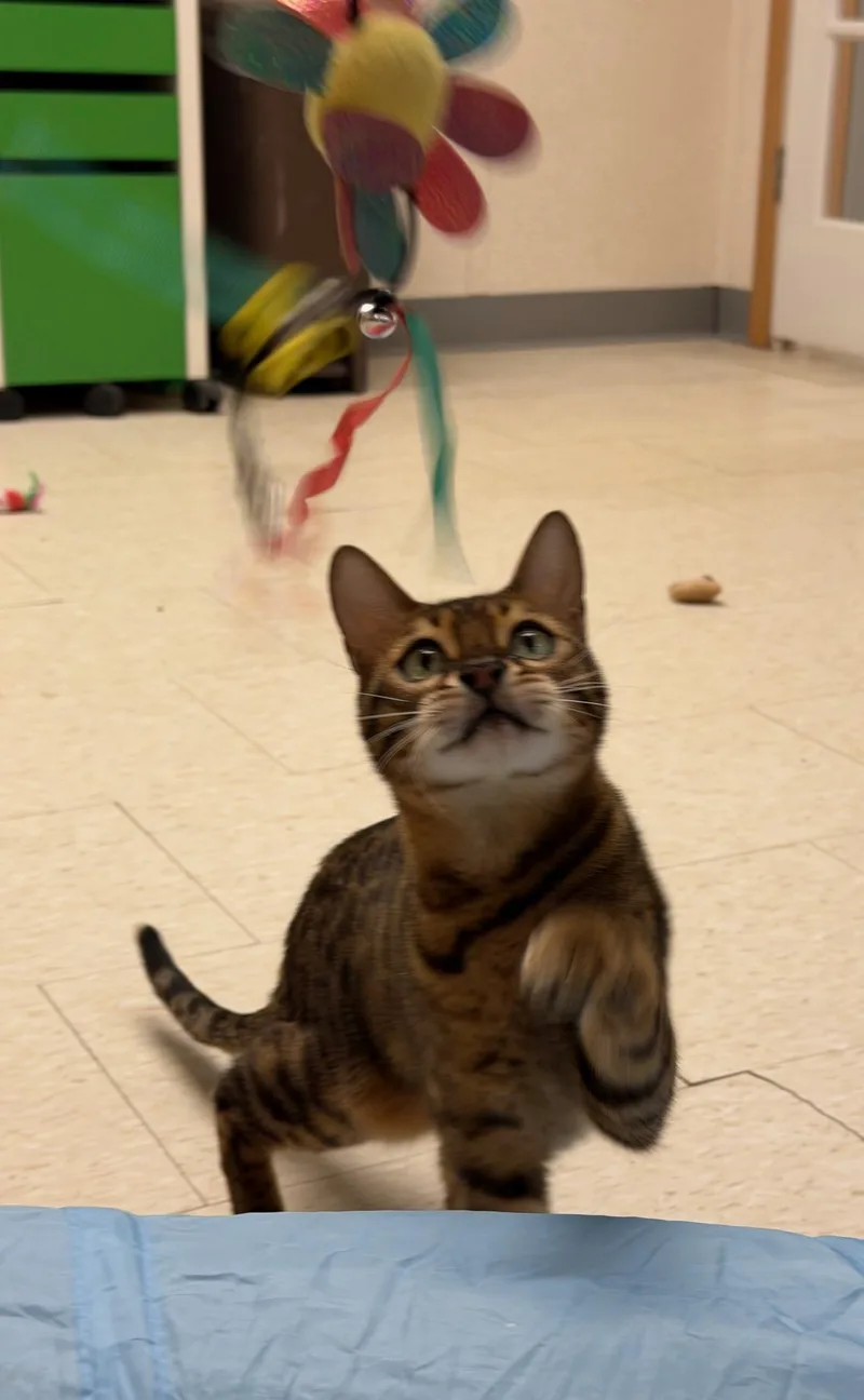 Starsky And Hutch thumbnail 3