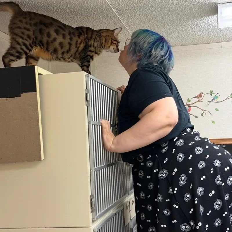 Starsky And Hutch thumbnail 4