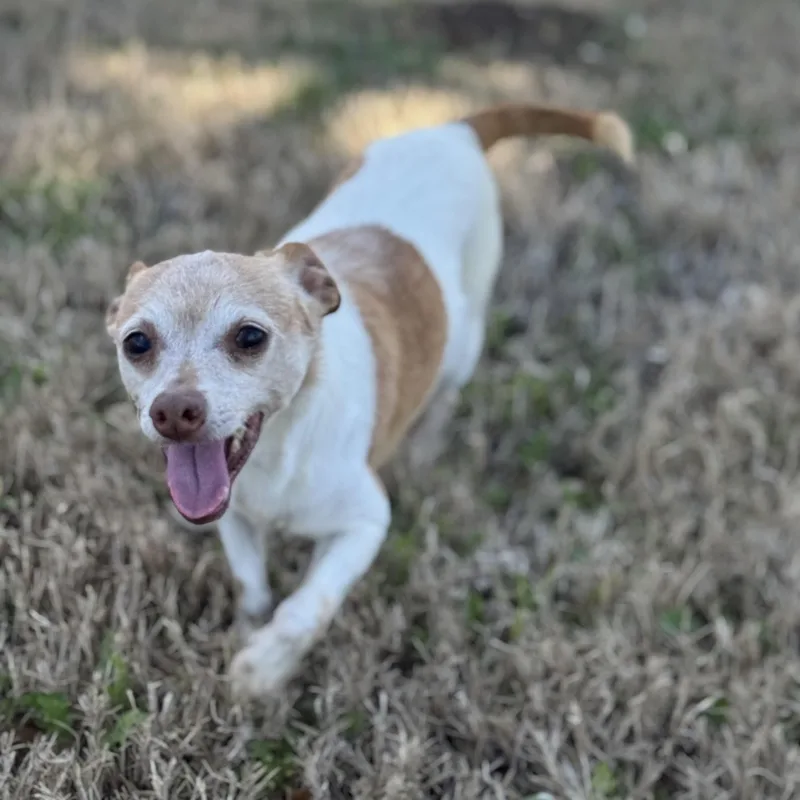 Snoop & Thor thumbnail 5