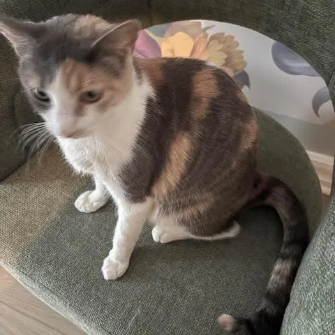 Mama Paige & Sugar thumbnail 3