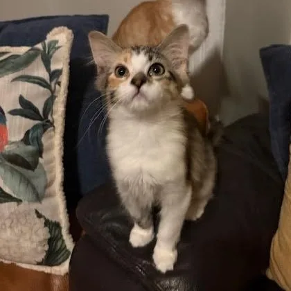 Mama Paige & Sugar thumbnail 4