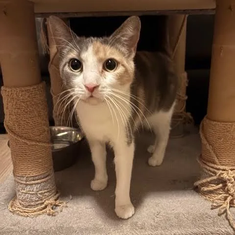 Mama Paige & Sugar thumbnail 6