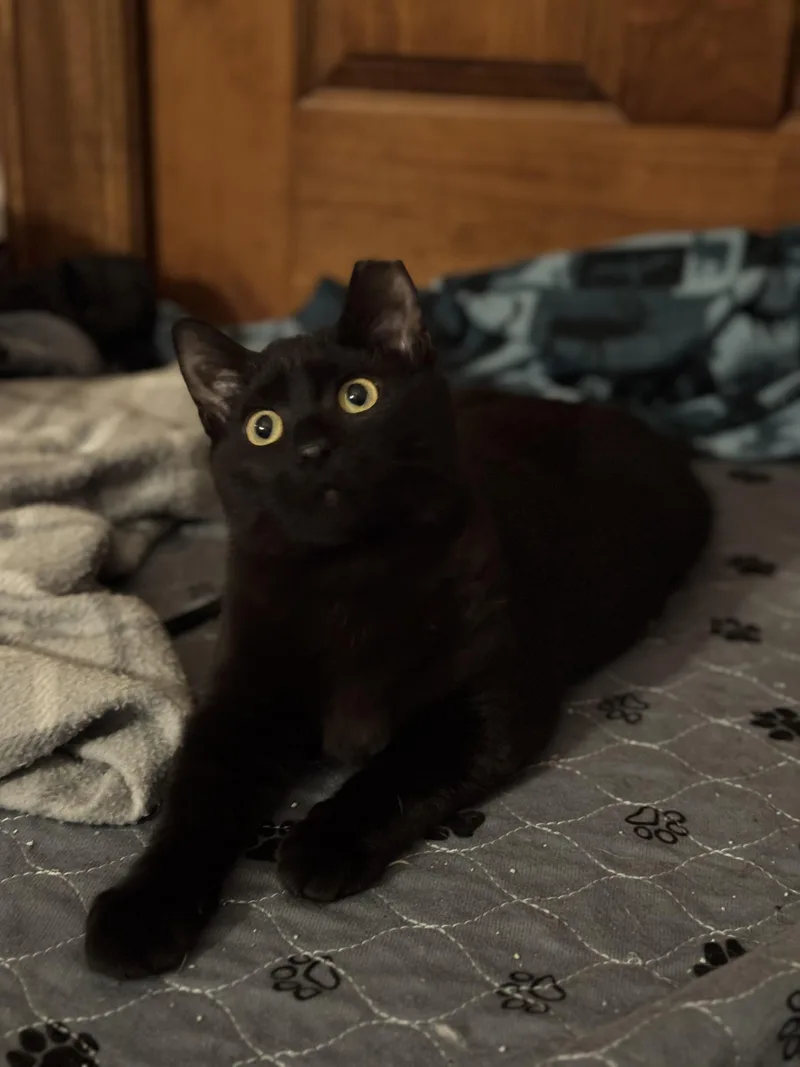 Windy& Storm thumbnail 2