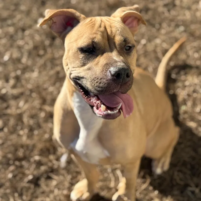 Nova Love thumbnail 2