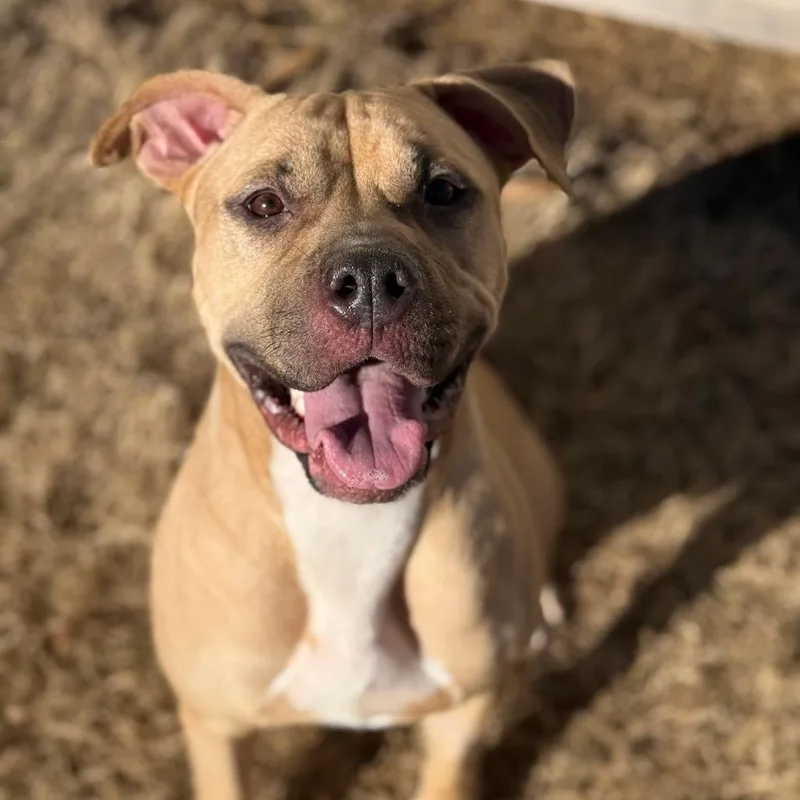 Nova Love thumbnail 3