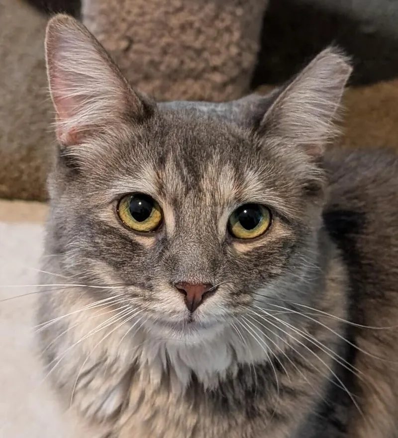 Marykate thumbnail 2