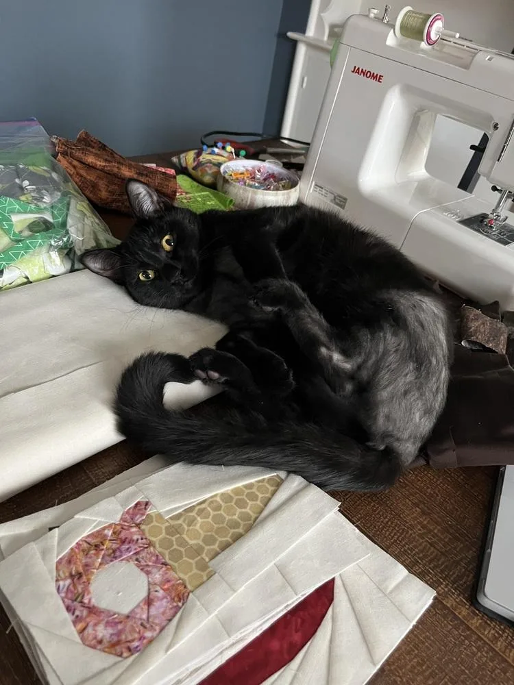 Bastet Aka Cinco Mello