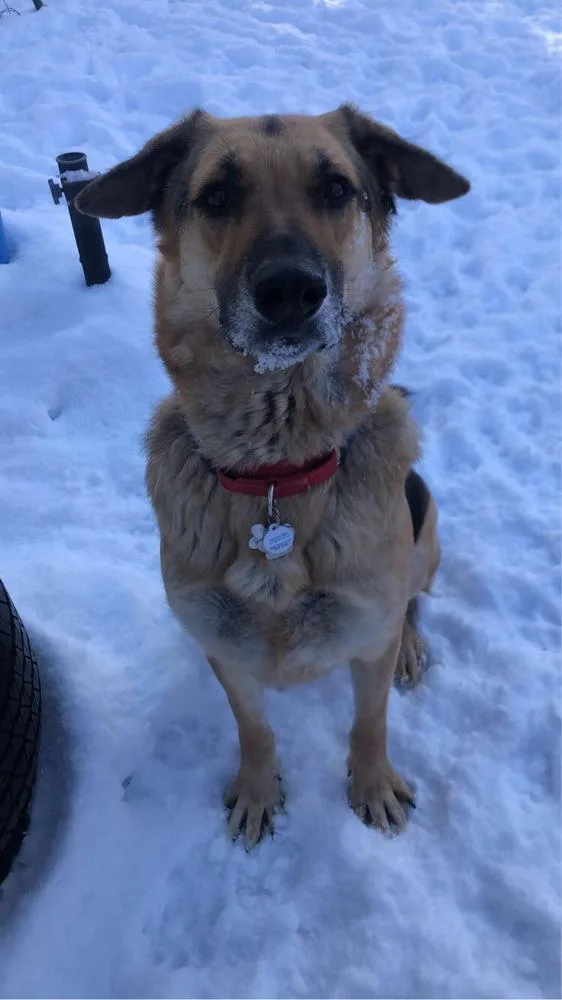 Happy Meal thumbnail 5