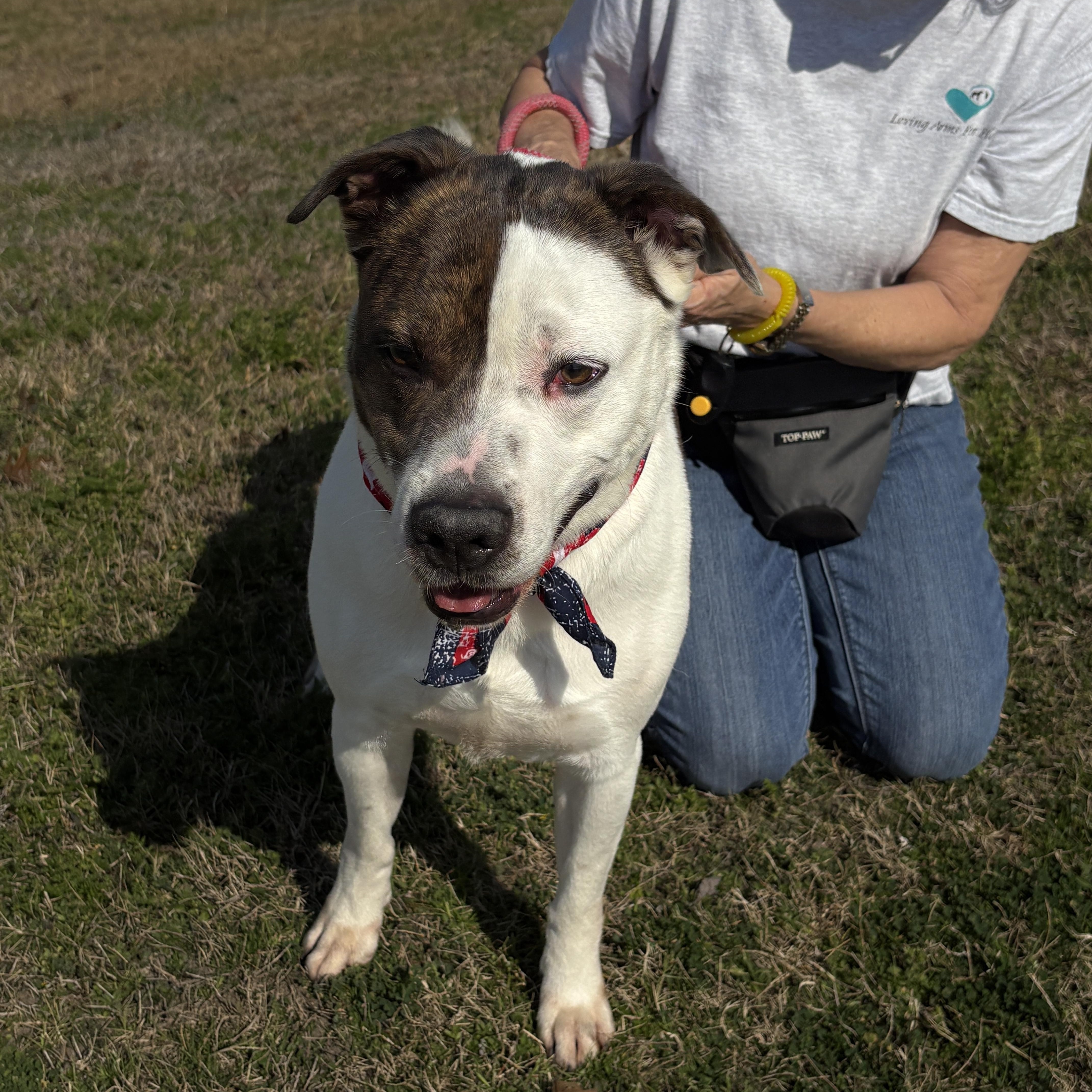 Merrick Gorgeous Boy thumbnail 3