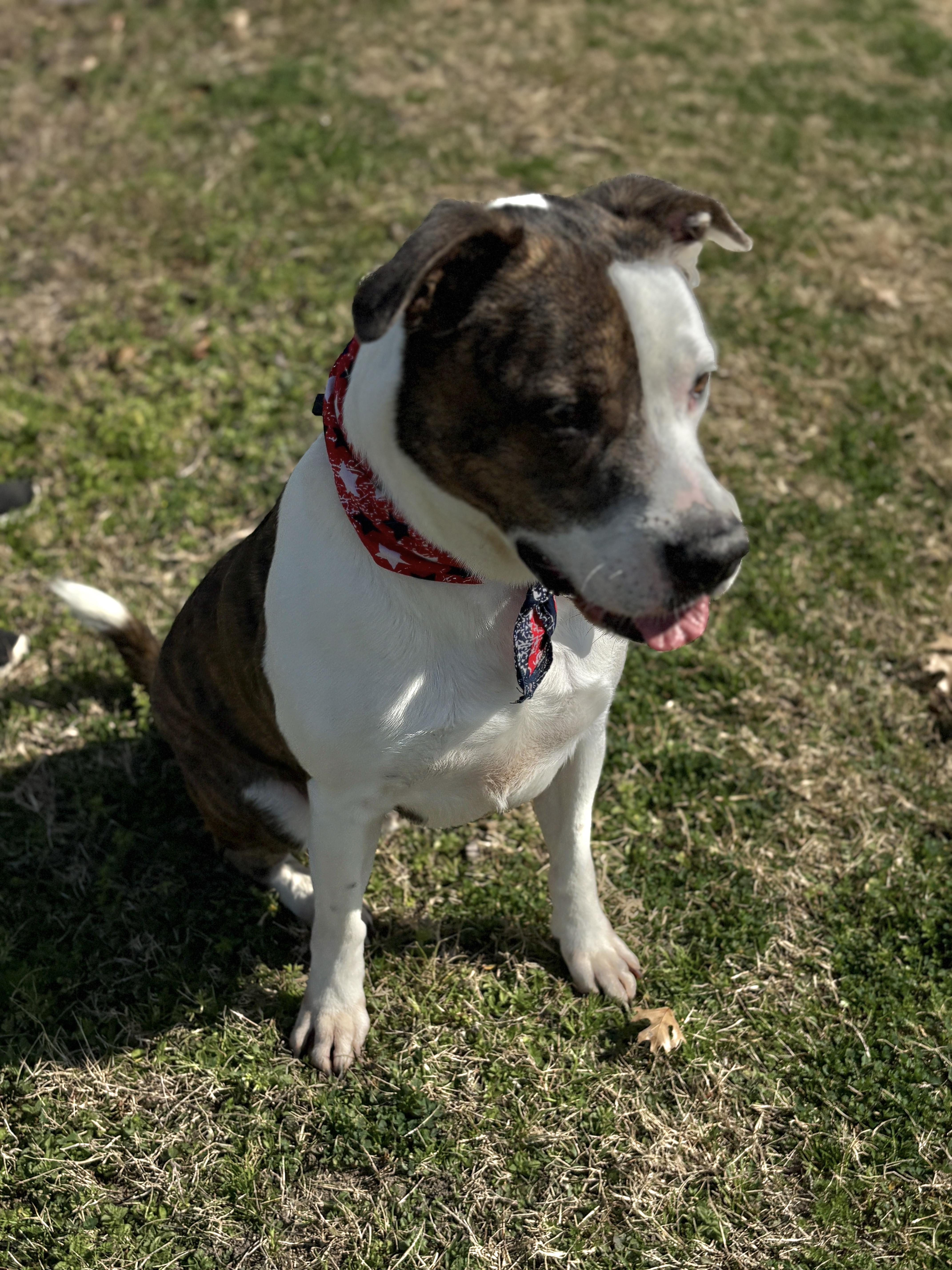 Merrick Gorgeous Boy thumbnail 6