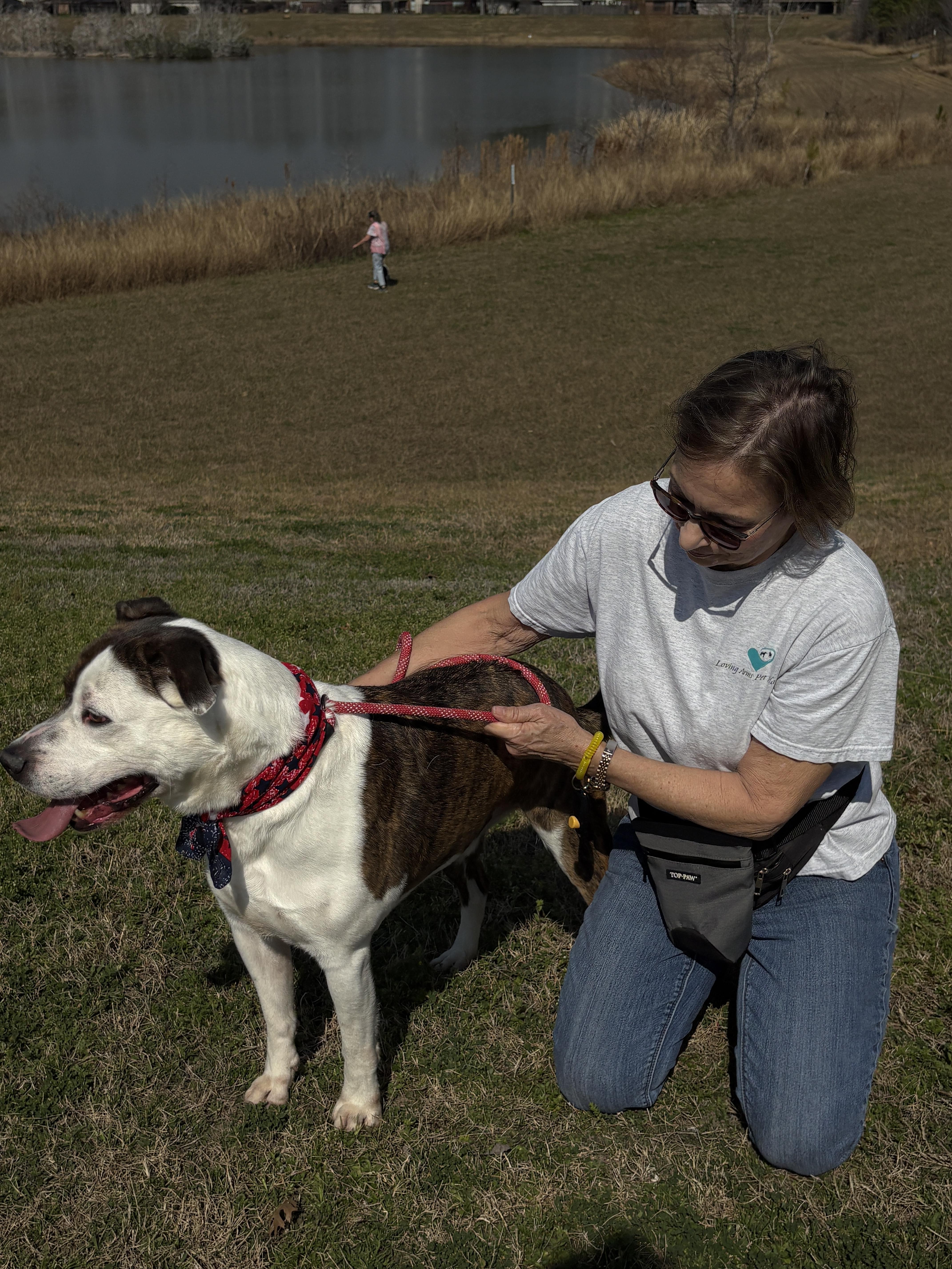 Merrick Handsome Boy! thumbnail 6