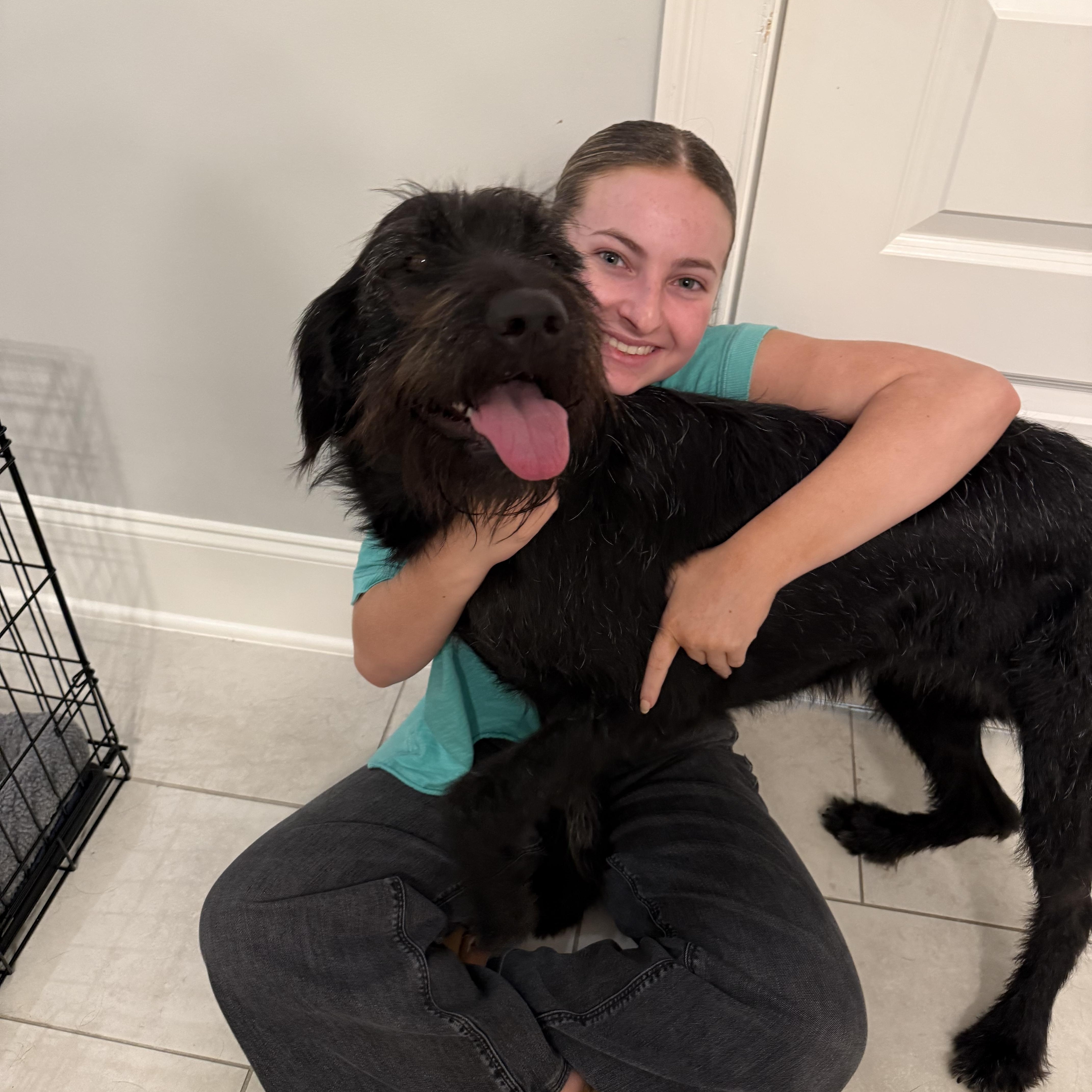 Stella Doodlesuper Smart! thumbnail 2