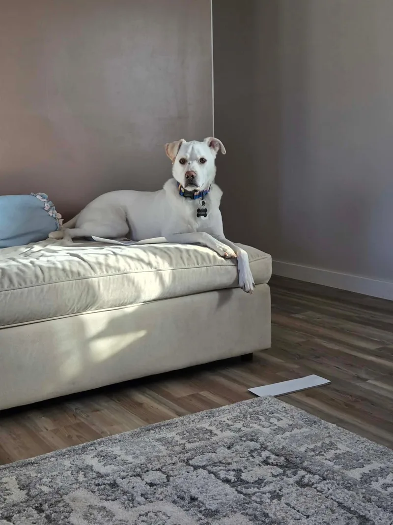 Wrangler  Courtesy Listing thumbnail 2