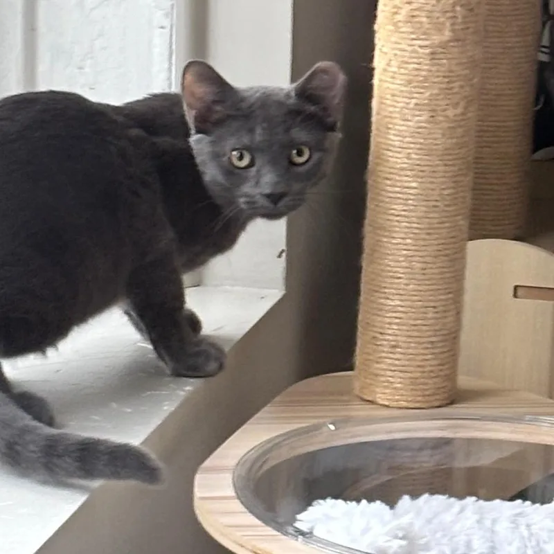 Sunset And Horizon  thumbnail 2