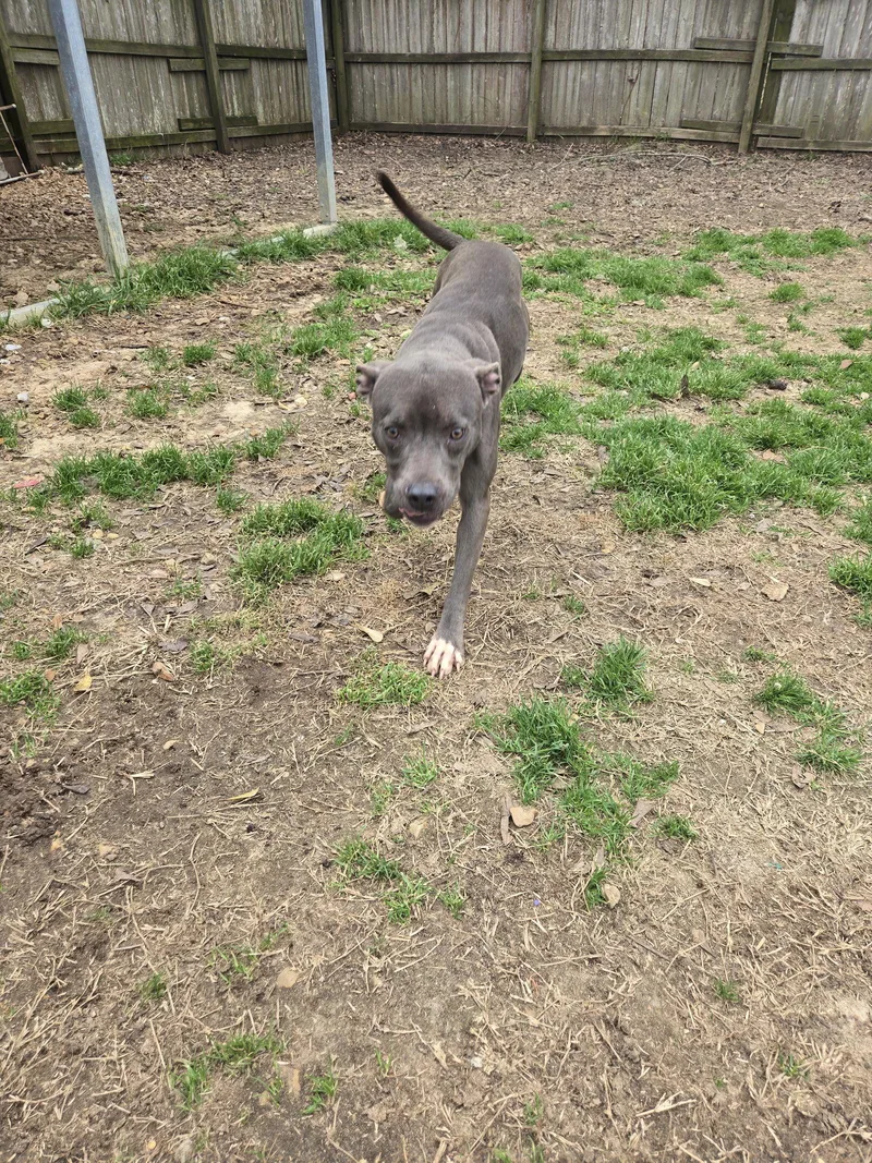 Serenity thumbnail 2