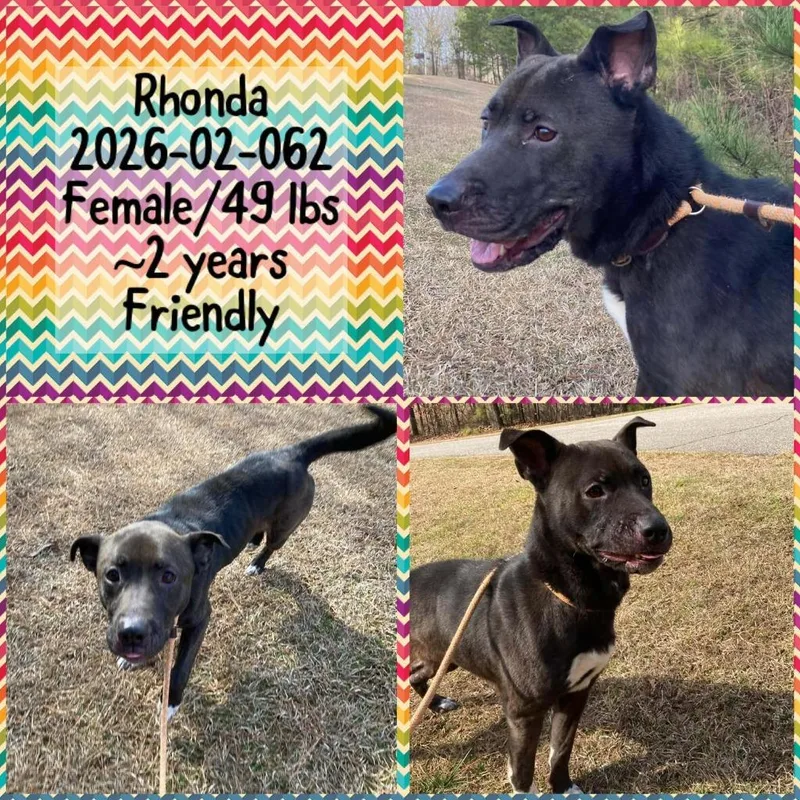 Rhonda thumbnail 2