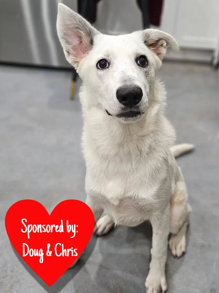 Khalessi thumbnail 3