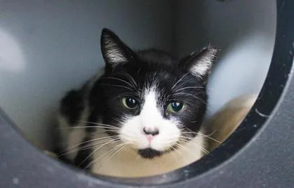 Miss Tina thumbnail 2