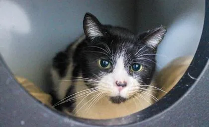 Miss Tina thumbnail 3