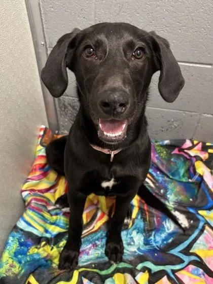 Freyja Fka Latto thumbnail 2