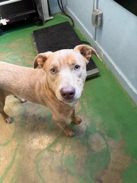 Theodore thumbnail 2