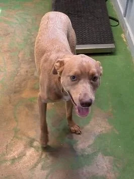 Theodore thumbnail 3