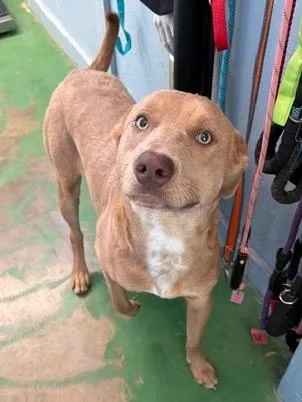 Theodore thumbnail 4