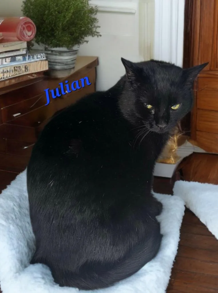Julian